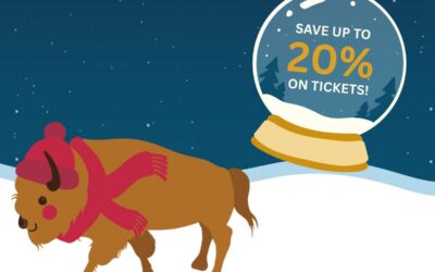 The Holiday Pass Sale Returns November 1!
